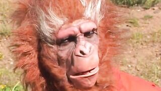 Majmok bolygója - Magyar szinkronos teljes xxx videó